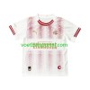 psv eindhoven speciale Vierde Shirt 2025-26